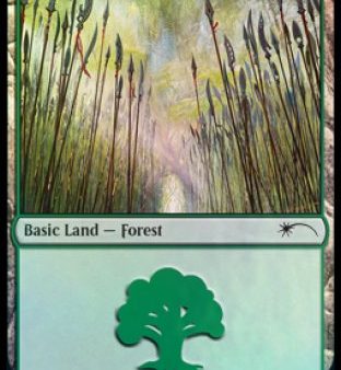 Forest (Elves) (579) [Secret Lair Drop Promos] For Discount