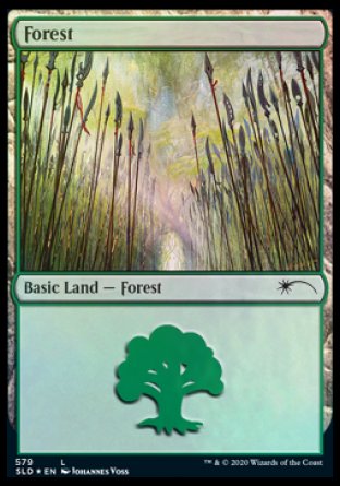 Forest (Elves) (579) [Secret Lair Drop Promos] For Discount